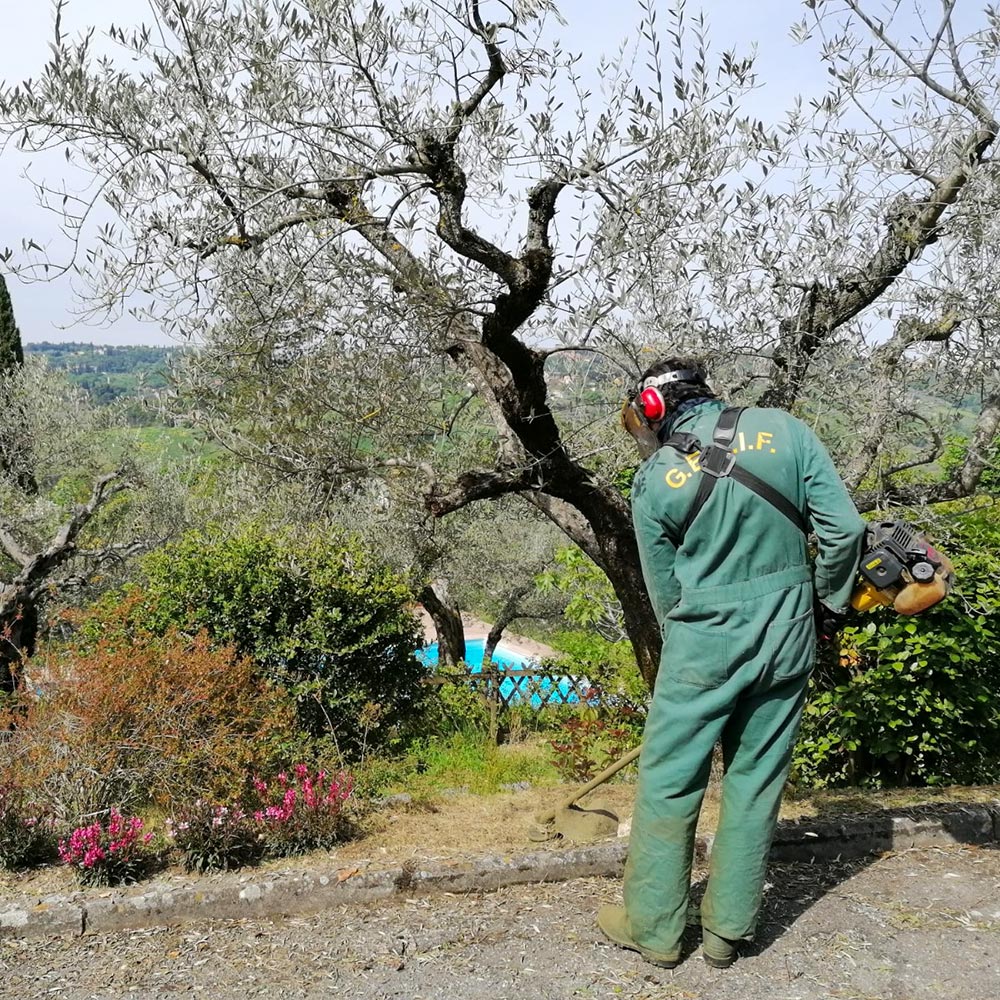 Gedif verde - manutenzione ordinaria